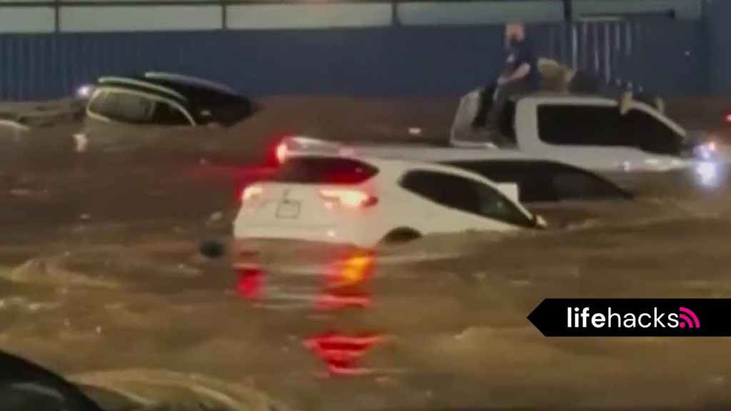 2 dead, hundreds rescued in 'dangerous' new mexico flash flooding- lifehacks.eu.org