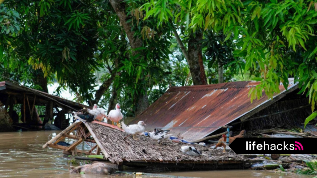 at least 126 dead or missing in massive flooding and landslides in philippines-lifehacks.eu.org