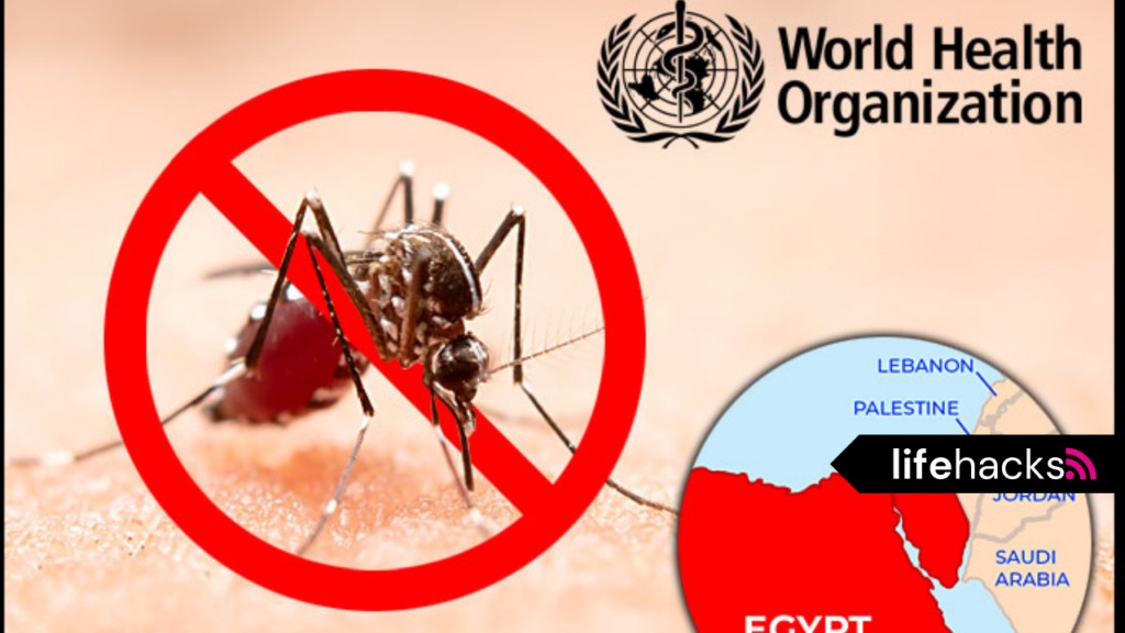 malaria free egypt -lifehacks.eu.org